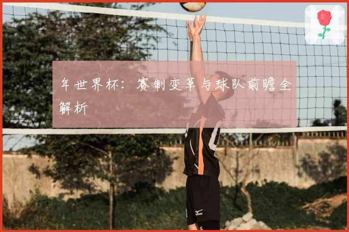 年世界杯:赛制变革与球队前瞻全解析