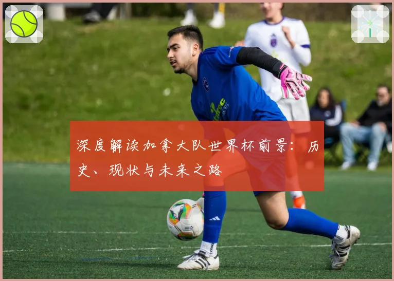 深度解读加拿大队世界杯前景:历史、现状与未来之路